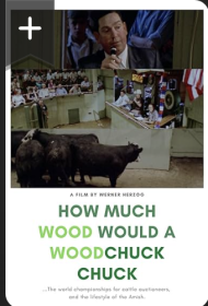 How Much Wood Would a Woodchuck Chuck...